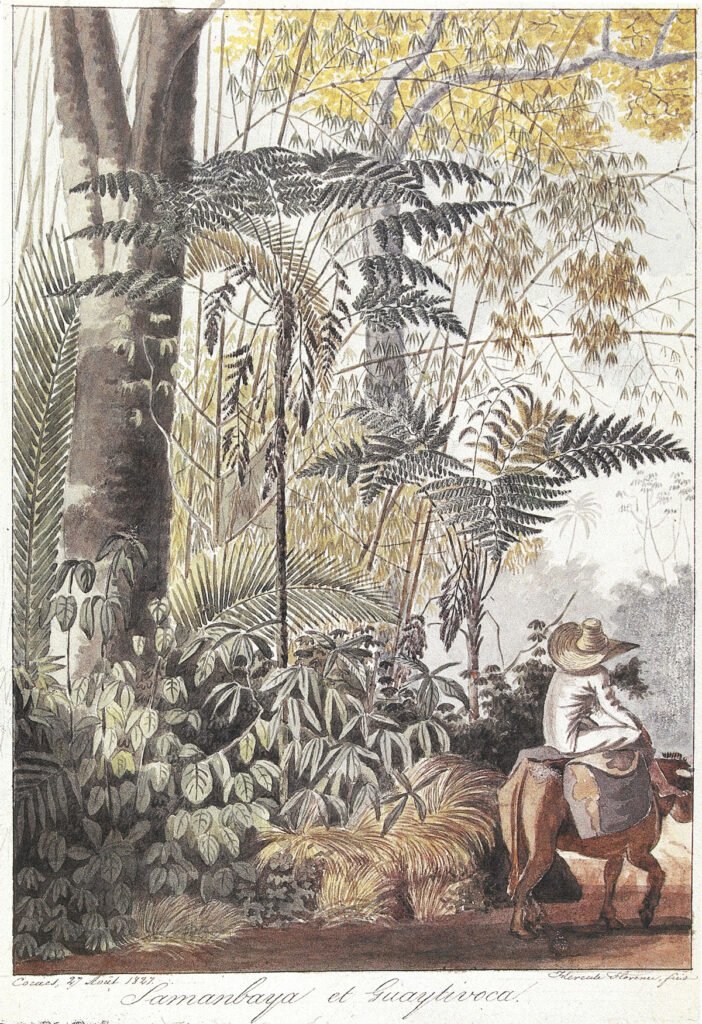 Aquarela de Hercule Florence. Samanbaya et Guaytivoca. Cocaes, 27 de agosto de 1827.